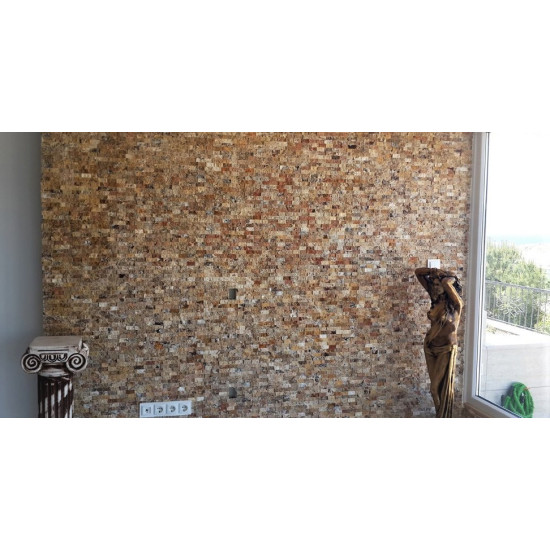 2,5x10 Scabos