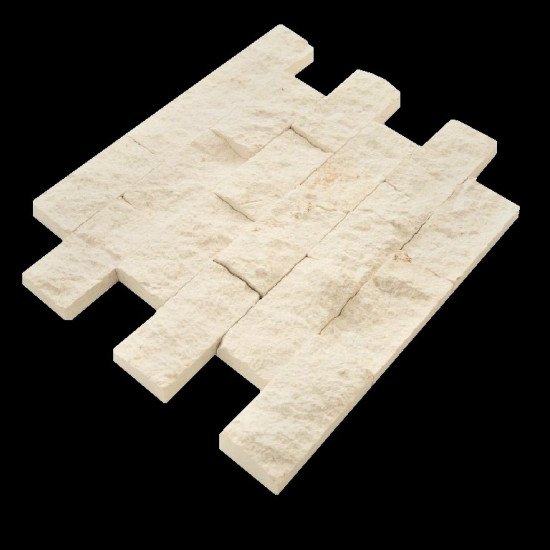 5x10 Daisy Cream 5x10 Daisy Cream