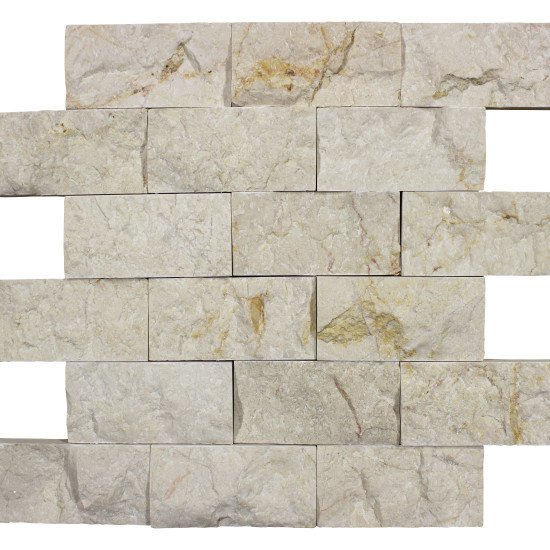 5x10 Daisy Cream 5x10 Daisy Cream