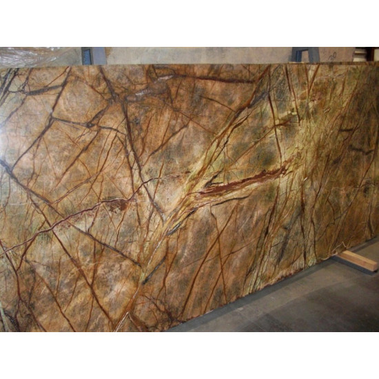 Rainforest Brown
