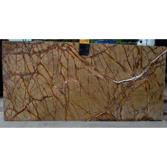 Rainforest Brown