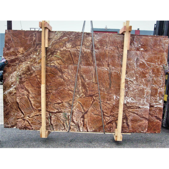 Rainforest Brown