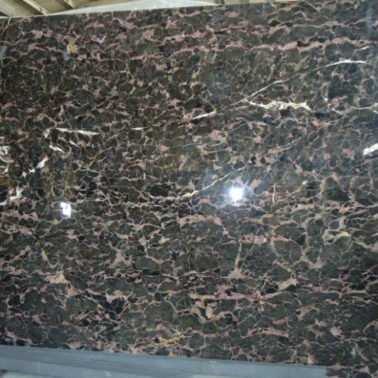 Nostradamus Nostradamus