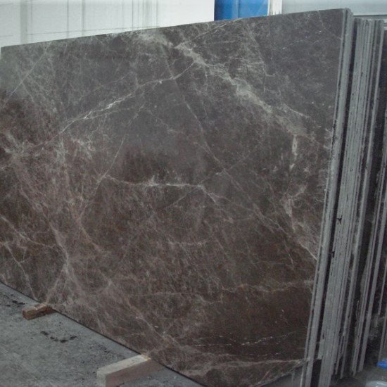 Spider Brown Spider Brown