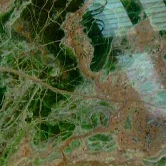 Emerald Onyx (crosscut)